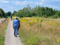 NL, Noord-Brabant, Cranendonck, Groote Heide 21, Saxifraga-Tom Heijnen