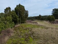 NL, Overijssel, Ommen, Beerze 1, Saxifraga-Mark Zekhuis