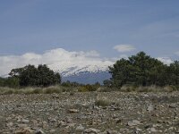E, Granada, Albunuelas 3, Saxifraga-Willem van Kruijsbergen