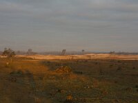 Zonsopgang Beekhuizerzand