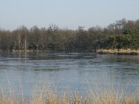 B, Antwerpen, Merksplas, Zandvenheide, Zwartwater 8, Saxifraga-Willem van Kruijsbergen