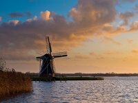 traditional dutch windmill  traditional dutch windmill during windy orange sunset : Netherlands, achtergrond, agriculture, architecture, architectuur, autumn, background, blauw, blue, clouds, creative nature, dageraad, dawn, dusk, dutch, fall, geschiedenis, great, groningen, grote, historic, historisch, history, holland, kust, lake, landbouw, landscape, landschap, lente, lucht, meer, molen, najaar, nat, nederland, nederlands, old, orange, oranje, oud, ouderwets, ouderwetse, outdoor, panorama, panoramic, panoramisch, paterswolde, paterswoldsemeer, peaceful, reizen, rudmer zwerver, rustige, scenery, schemering, shore, sky, spring, springtime, sunrise, sunset, toerisme, tourism, traditional, traditionele, travel, water, weather, weer, wet, wind, winderige, windmill, windmolen, windy, wolken, zonsondergang, zonsopgang