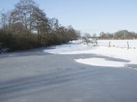 NL, Noord-Brabant, Alphen-Chaam, de Hoevens 76, Saxifraga-Willem van Kruijsbergen