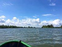 NL, Noord-Brabant, Altena, Gat van den Kleinen Hil 1, Saxifraga-Bart Vastenhouw