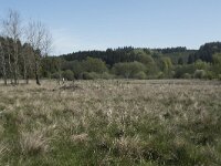 F, Nievre, Brassy, Montour 6, Saxifraga-Willem van Kruijsbergen