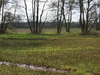 NL, Drenthe, Aa en Hunze, De Burgvallen 28, Saxifraga-Hans Boll