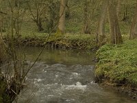 B, Liege, Kelmis, Hohn 2, Saxifraga-Willem van Kruijsbergen
