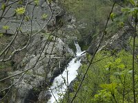 F, Lozere, Fraissinet-de-Lozere, Cascade de Runes 11, Saxifraga-Willem van Kruijsbergen