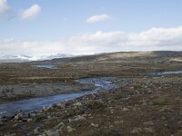 N, Hordaland, Eidfjord, Dyranut 13, Saxifraga-Willem van Kruijsbergen