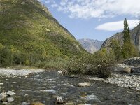 F, Isere, Valbonnais, Bonne 2, Saxifraga-Jan van der Straaten