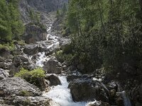 I, Sued-Tirol, Corvara, Kolfuschg 5, Saxifraga-Willem van Kruijsbergen