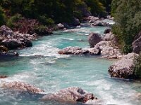 SLO, Gorenjska, Bovec, Soca 4, Saxifraga-Hans Dekker