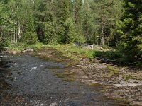 S, Jamtland, Harjedalen 4, Saxifraga-Willem van Kruijsbergen