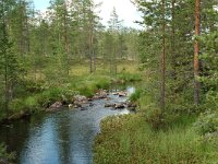 S, Jamtland, Harjedalen 8, Saxifraga-Willem van Kruijsbergen