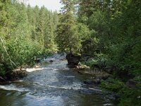 S, Jamtland, Harjedalen, Waterfall 5, Saxifraga-Willem van Kruijsbergen