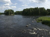 S, Uppsala lan, Heby, Sevedskvarn 8, Saxifraga-Jan van der Straaten