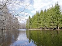 EST, Viljandimaa, Meiekose opperada in Soomaa rahvuspark 3, Saxifraga-Tom Heijnen