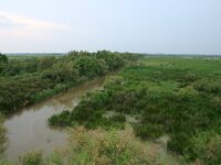 F, Bouches-du-Rhone, Arles, Marais de Vigueirat 6, Saxifraga-Dirk Hilbers