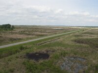 D, Niedersachsen, Diepholz 20, Saxifraga-Jan Nijendijk