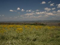 GR, Kentrikí Makedhonía, Volvi, Limni Koroneia 9, Saxifraga-Dirk Hilbers