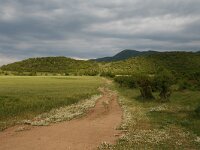 GR, Kentrikí Makedhonía, Volvi, Rentina 1, Saxifraga-Dirk Hilbers