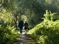 NL, Flevoland, Almere, Lepelaarsplassen 5, Saxifraga-Foto Fitis-Sytske Dijksen