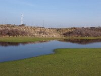 NL, Zuid-Holland, Noordwijk, Oude Golf 2, Saxifraga-Jelle van Dijk