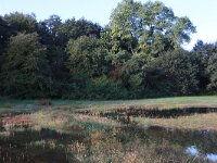 NL, Gelderland, Heumen, Overasseltsche en Hatertse vennen 423, Saxifraga-Hans Boll