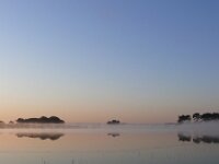 NL, Noord-Brabant, Heeze-Leende, Klein Kraanven in Groote Heide 4, Saxifraga-Tom Heijnen