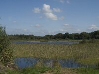 NL, Noord-Brabant, Oirschot, Winkelsven 6, Saxifraga-Marijke Verhagen