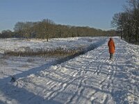 NL, Noord-Brabant, Oirschot, Winkelsven 8, Saxifraga-Jan van der Straaten