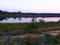 NL, Noord-Brabant, Valkenswaard, De Malpie 19, Saxifraga-Tom Heijnen