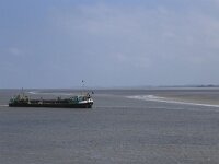 NL, Friesland, Ameland, Dantziggat 19, Saxifraga-Hans Boll