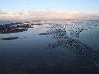 NL, Friesland, Vlieland, Vliehors 102, Saxifraga-Foto Fitis-Sytske Dijksen