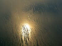 NL, Noord-Holland, Texel 94, Saxifraga-Foto Fitis-Sytske Dijksen