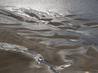 NL, Noord-Holland, Texel, Eierlandse Gat 7, Saxifraga-Foto Fitis-Sytske Dijksen