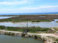 AL, Lehze, Lehze 10, Saxifraga-Hans Boll