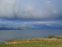 AL, Shkoder, Shkoder 6, Saxifraga-Hans Boll