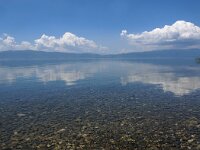 NMK, Ohrid 9, Saxifraga-Foto Fitis-Sytske Dijksen