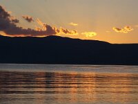 NMK, Ohrid, Pestani 6, Saxifraga-Foto Fitis-Sytske Dijksen