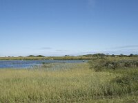 N, Nordland, Vagan, Gimsoya, Hoven 9, Saxifraga-Willem van Kruijsbergen