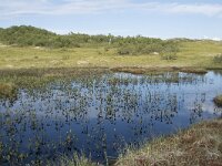 N, Nordland, Vagan, Hellhaugen 15, Saxifraga-Willem van Kruijsbergen
