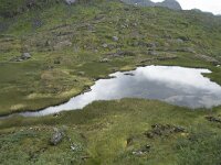 N, Nordland, Vagan, Nokksaetra 8, Saxifraga-Willem van Kruijsbergen