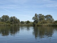 NL, Noord-Brabant, Altena, Gat van den Hardenhoek 48, Saxifraga-Willem van Kruijsbergen