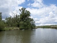 NL, Noord-Brabant, Drimmelen, Buiten Kooigat 49, Saxifraga-Willem van Kruijsbergen