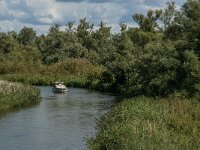 NL, Noord-Brabant, Drimmelen, Gat van de Slek 17, Saxifraga-Jan van der Straaten
