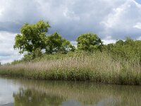 NL, Noord-Brabant, Drimmelen, Gat van de Slek 28, Saxifraga-Willem van Kruijsbergen