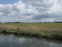 NL, Noord-Brabant, Drimmelen, Steurgat, Polder Pauluszand 1, Saxifraga-Willem van Kruijsbergen