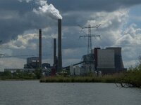 NL, Noord-Brabant, Geertruidenberg, Spijkerboor 1, Saxifraga-Jan van der Straaten