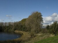 NL, Noord-Brabant, Heusden, Haarsteegsewiel 2, Saxifraga-Jan van der Straaten